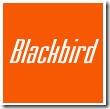 Blackbird