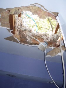 A new skylight